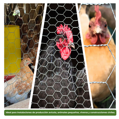 Malla Hexagonal Pollo, Gallina y Pajaro Agrofácil