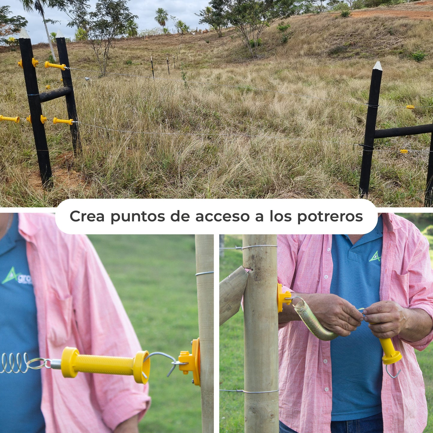 Manigueta Portillo x 5 unds Agrofácil