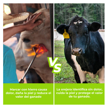 Orejera Cerdo/Ovino estandar Agrofácil
