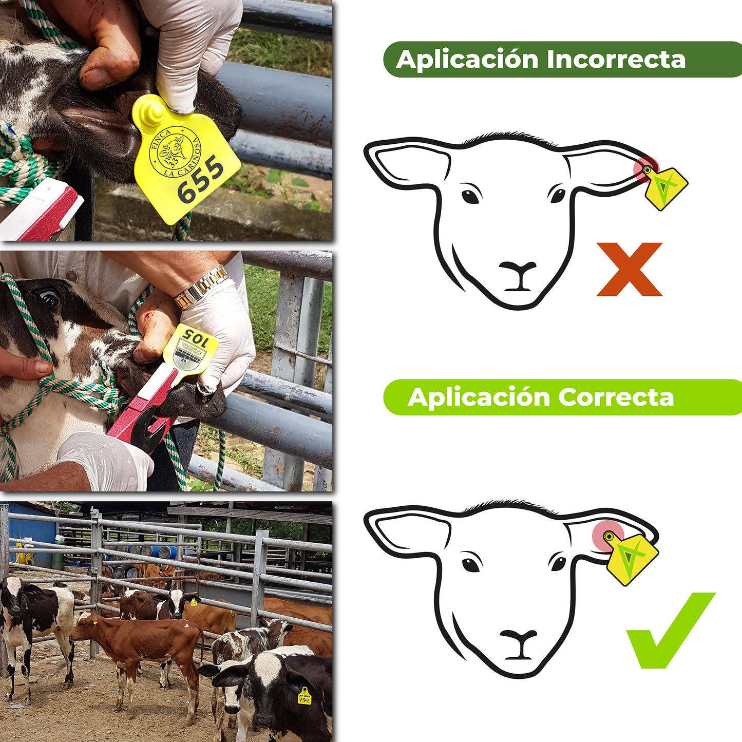 Orejera Bovina Estándar Agrofácil