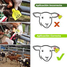 Orejera Cerdo/Ovino estandar Agrofácil