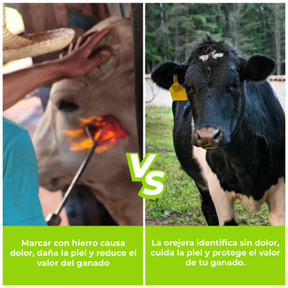 Orejera Bovino Export Agrofácil Para Identificar Ganado