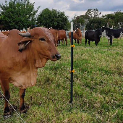 Poste de Acero Perimetral 2.12m Agrofácil x 50 unidades