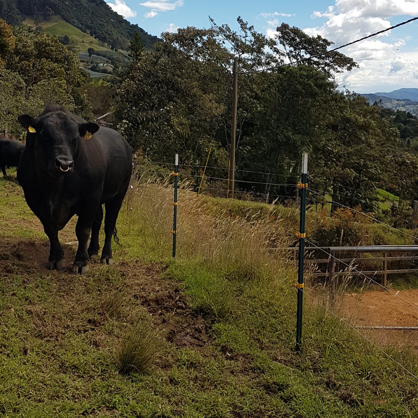 Poste de Acero Perimetral 2.12m Agrofácil x 50 unidades