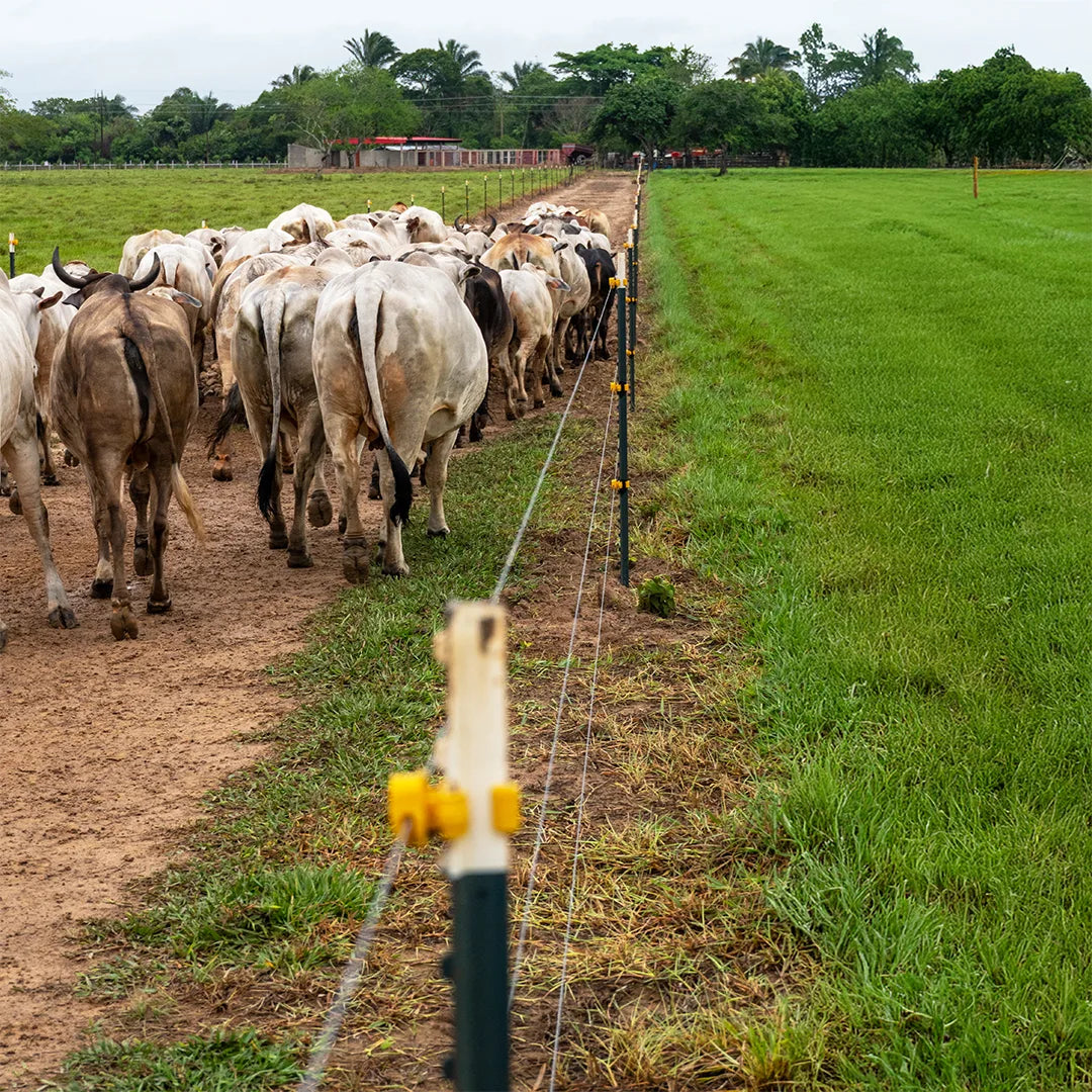 Poste de Acero Ligero Agrofácil 1.48m x 50unds