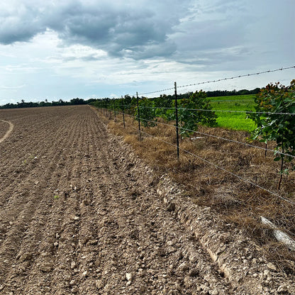 Poste de Acero Perimetral 2.12m Agrofácil x 50 unidades