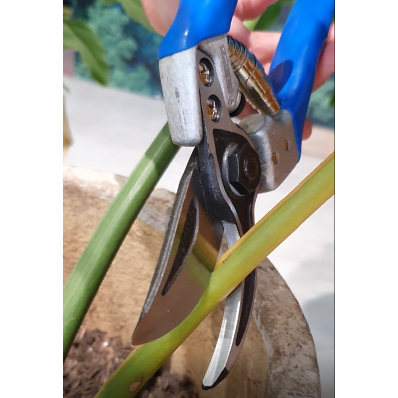 Tijera Yunque Agrofácil