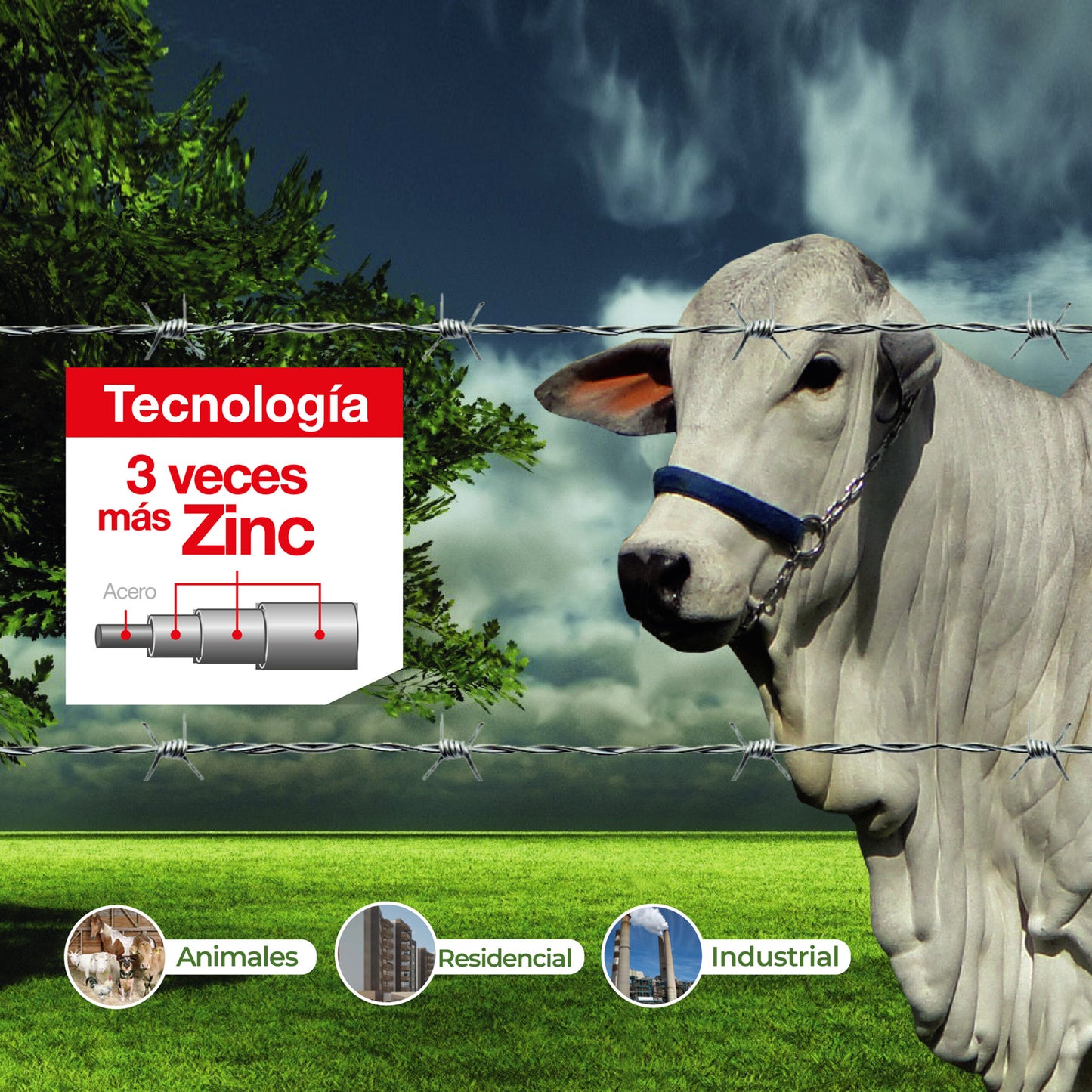 Alambre de Púas C16.5 MOTTO