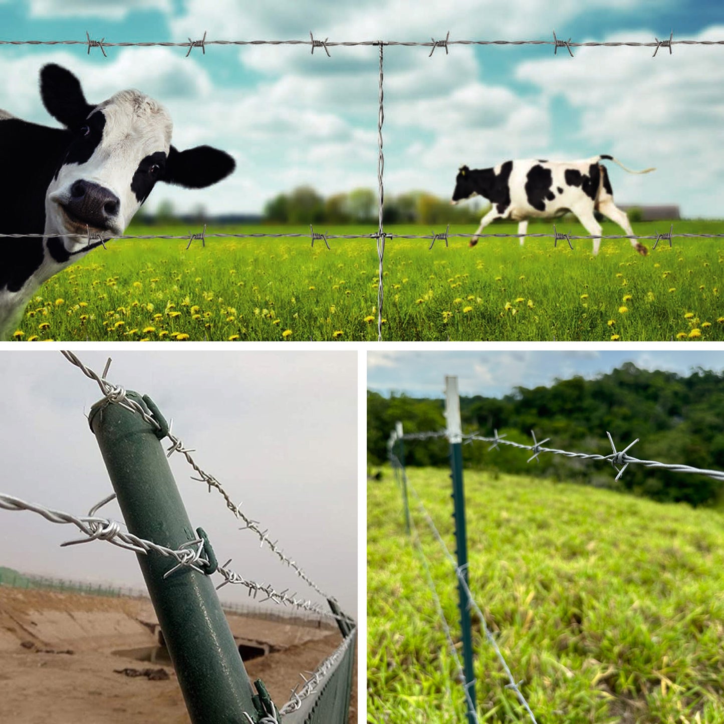 Alambre de Púas C16.5 MOTTO