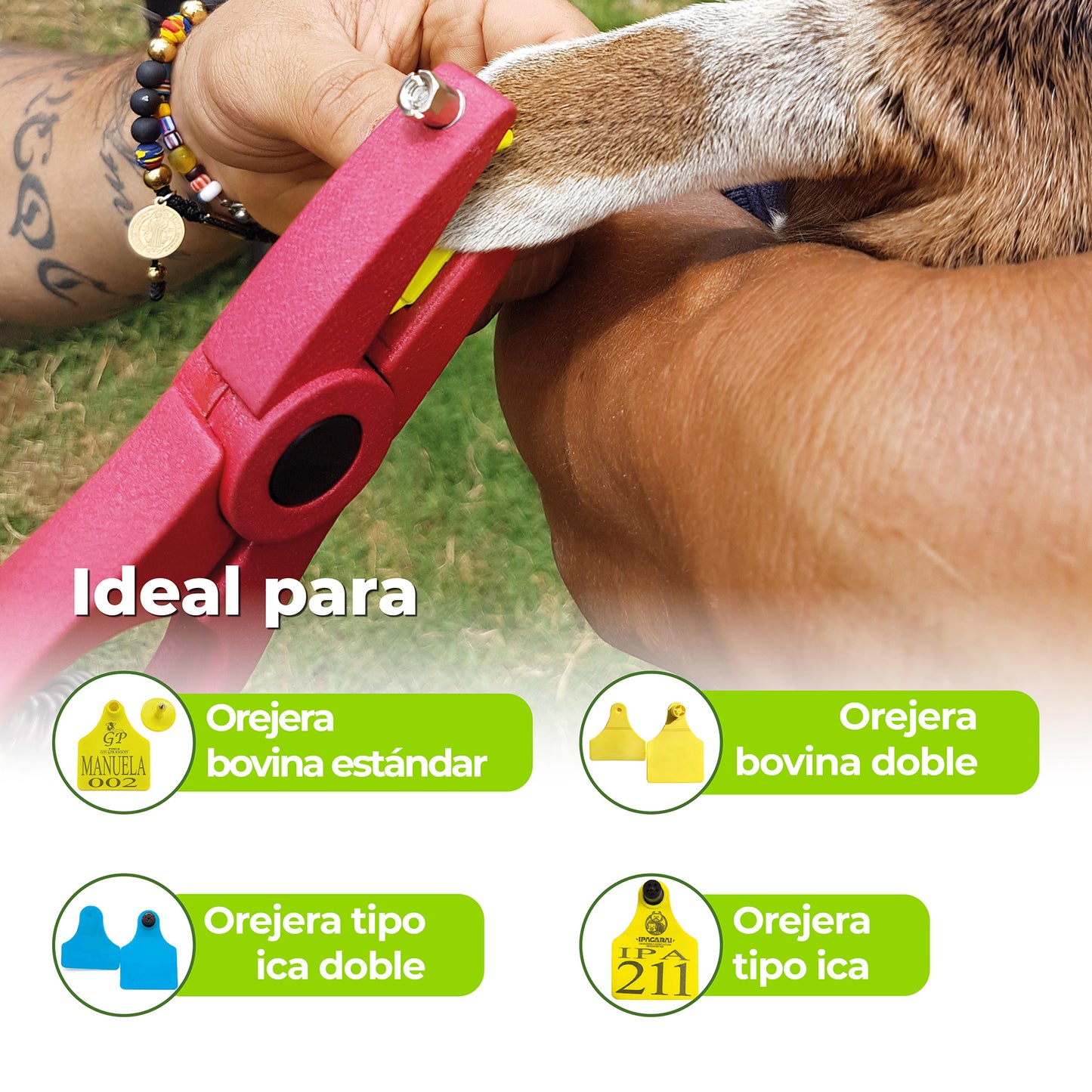 Aplicador de Orejera Universal Agrofácil