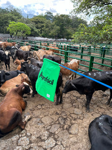 Bandera Arreadora Bienestar Animal Agrofácil