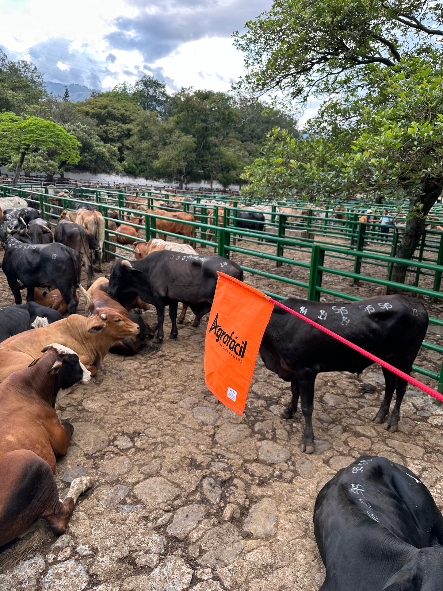 Bandera Arreadora Bienestar Animal Agrofácil