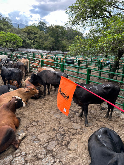 Bandera Arreadora Bienestar Animal Agrofácil