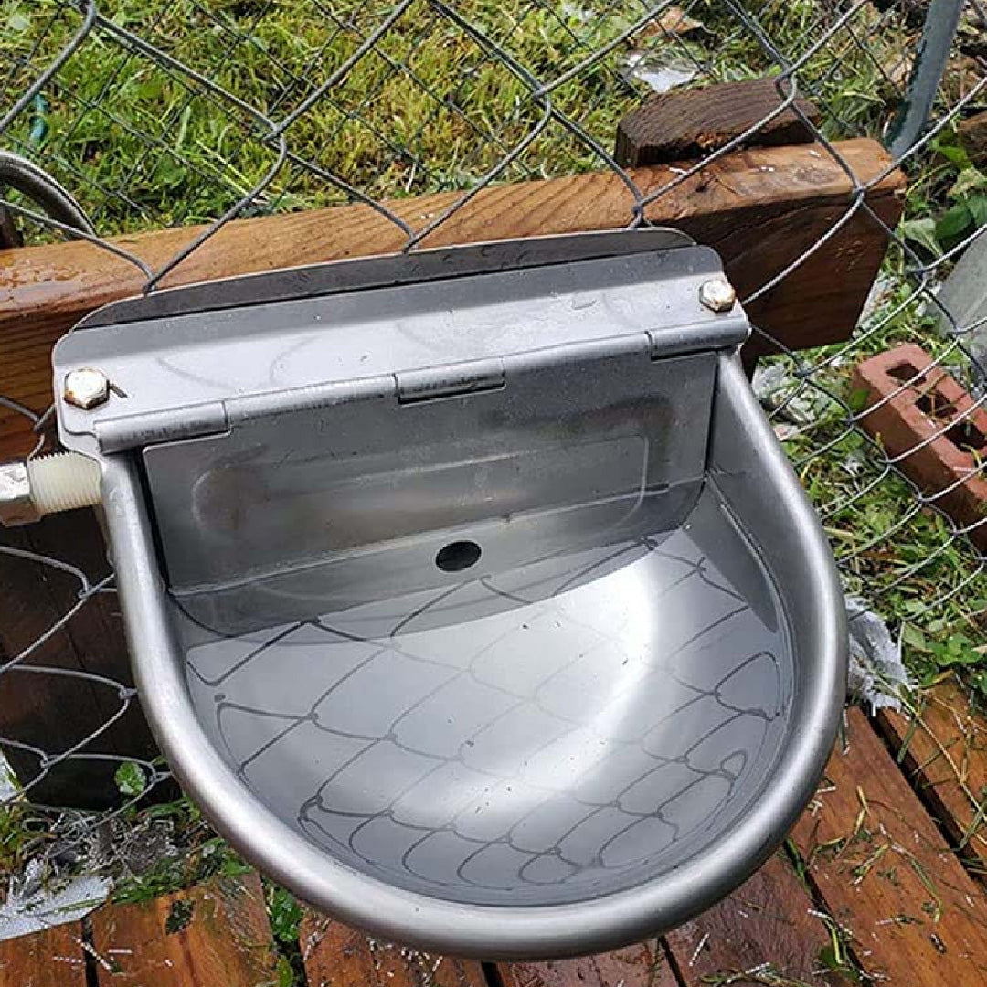 Bebedero INOX Automático 3L Agrofácil