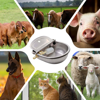 Bebedero INOX Automático 3L Agrofácil