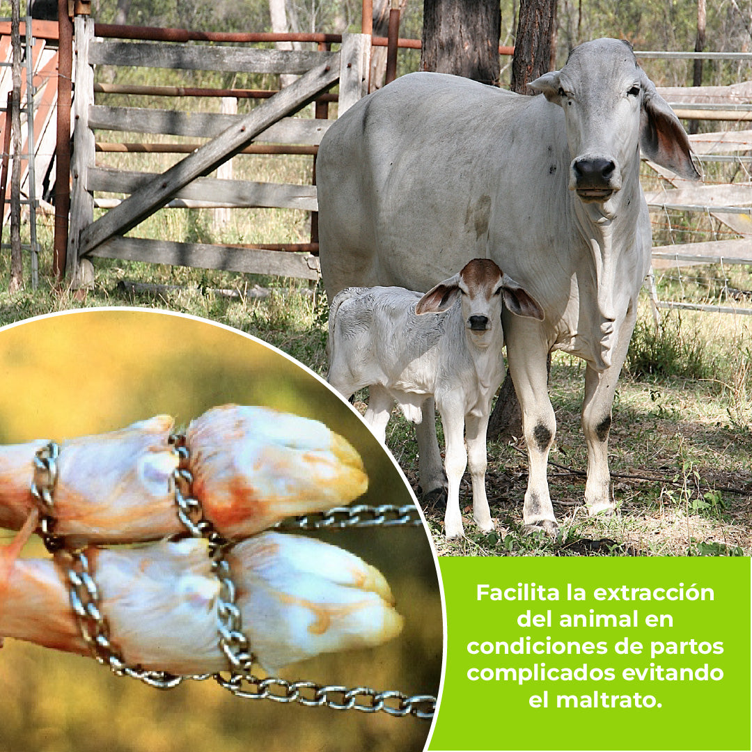 Cadena Acero Inox Hala Ternero Agrofácil