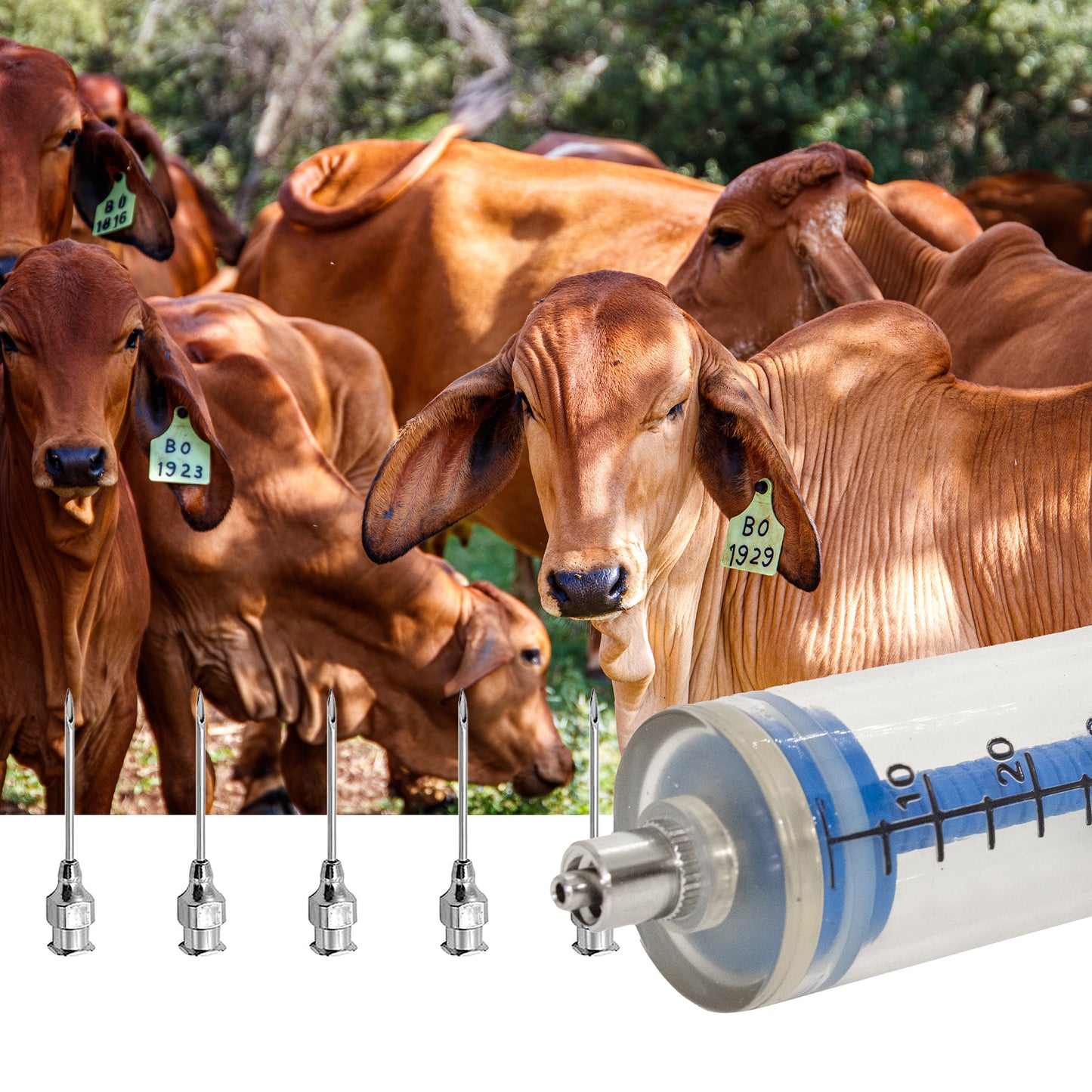 Jeringa Plástica 10 / 20 / 30 / 50ml Agrofácil