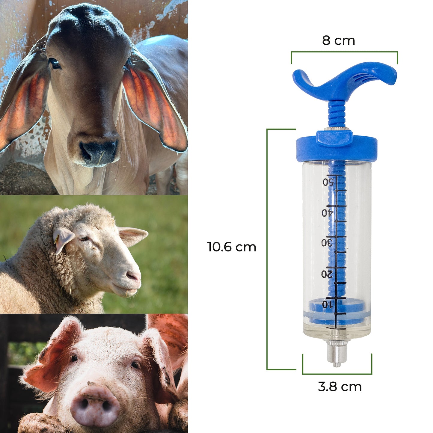Jeringa Plástica 10 / 20 / 30 / 50ml Agrofácil