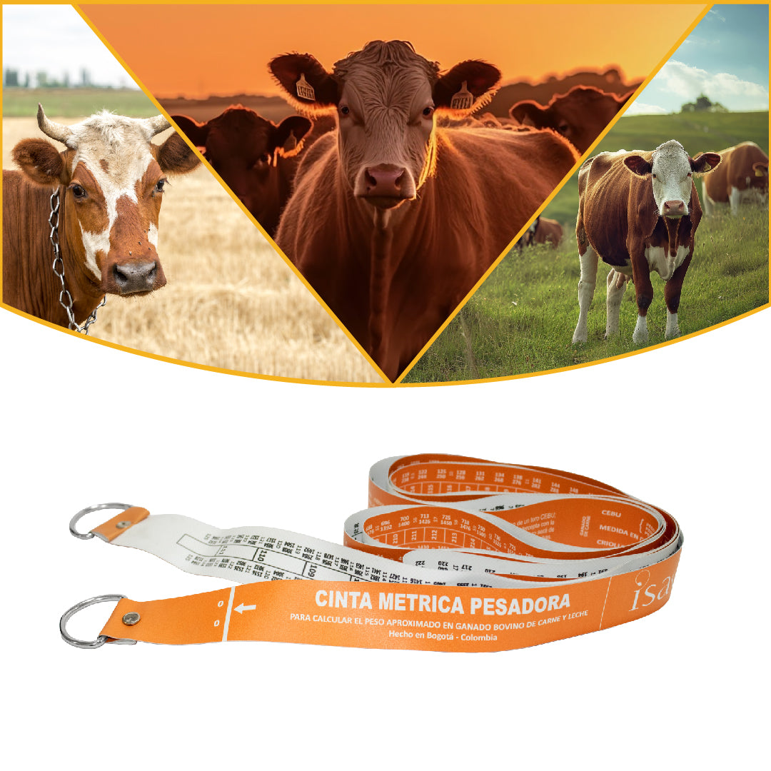 Cinta de Pesaje Bovino