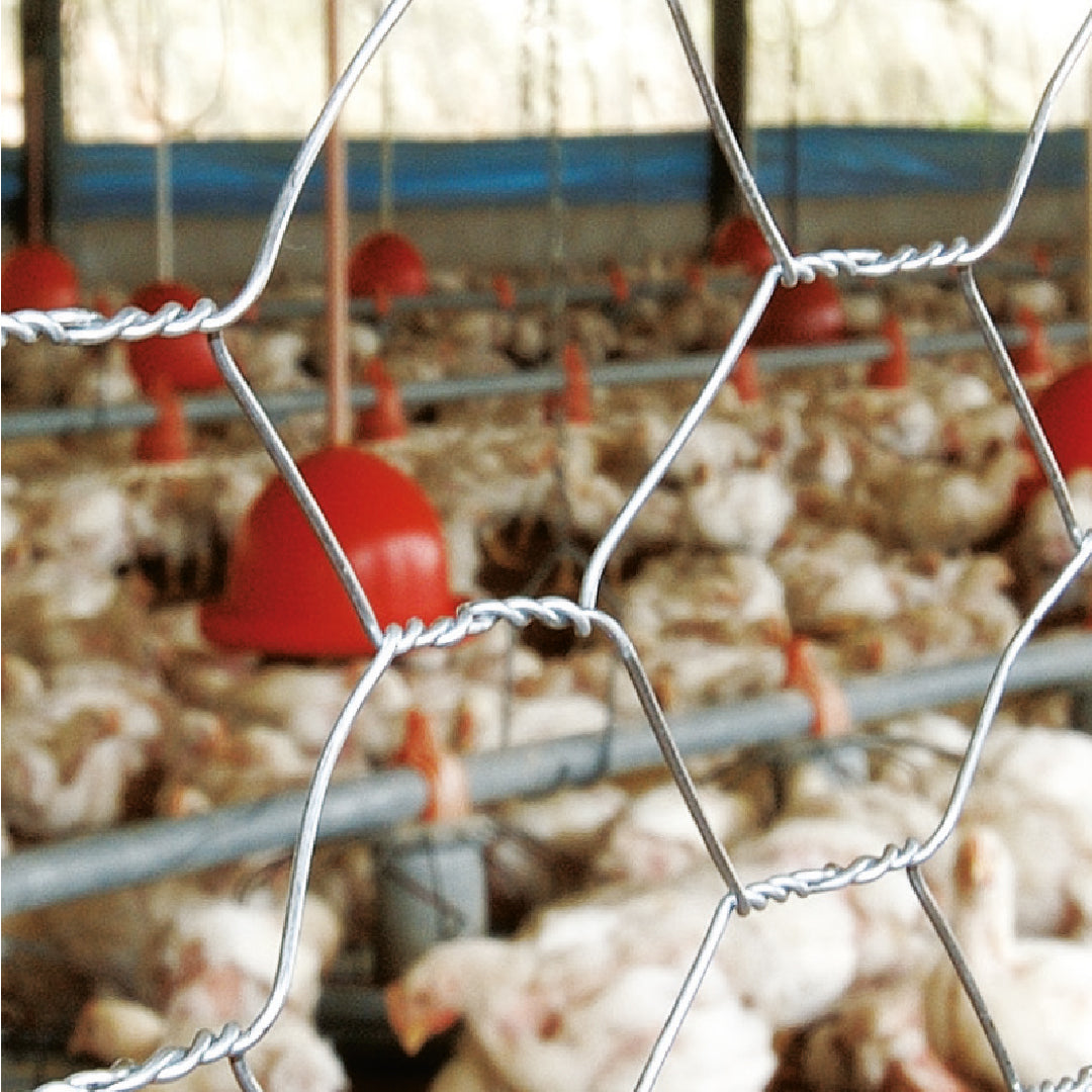 Malla Hexagonal Pollo, Gallina y Pajaro Agrofácil