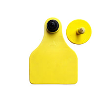 Orejera Bovina ICA Agrofácil