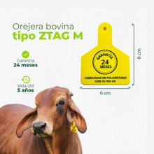 Orejera Bovino Tipo ZTag M Agrofácil