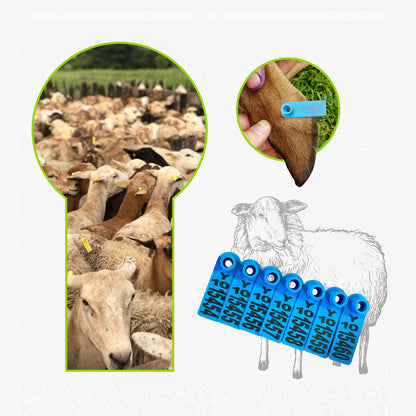 Orejera Cerdo/Ovino Rectangular Agrofácil