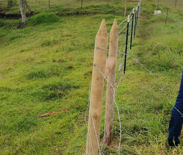 Estacón de Madera Inmunizado Cilindrado Agrofácil