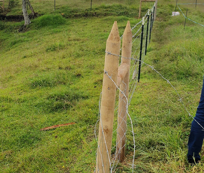 Estacón de Madera Inmunizado Cilindrado Agrofácil