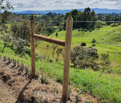 Estacón de Madera Inmunizado Cilindrado Agrofácil