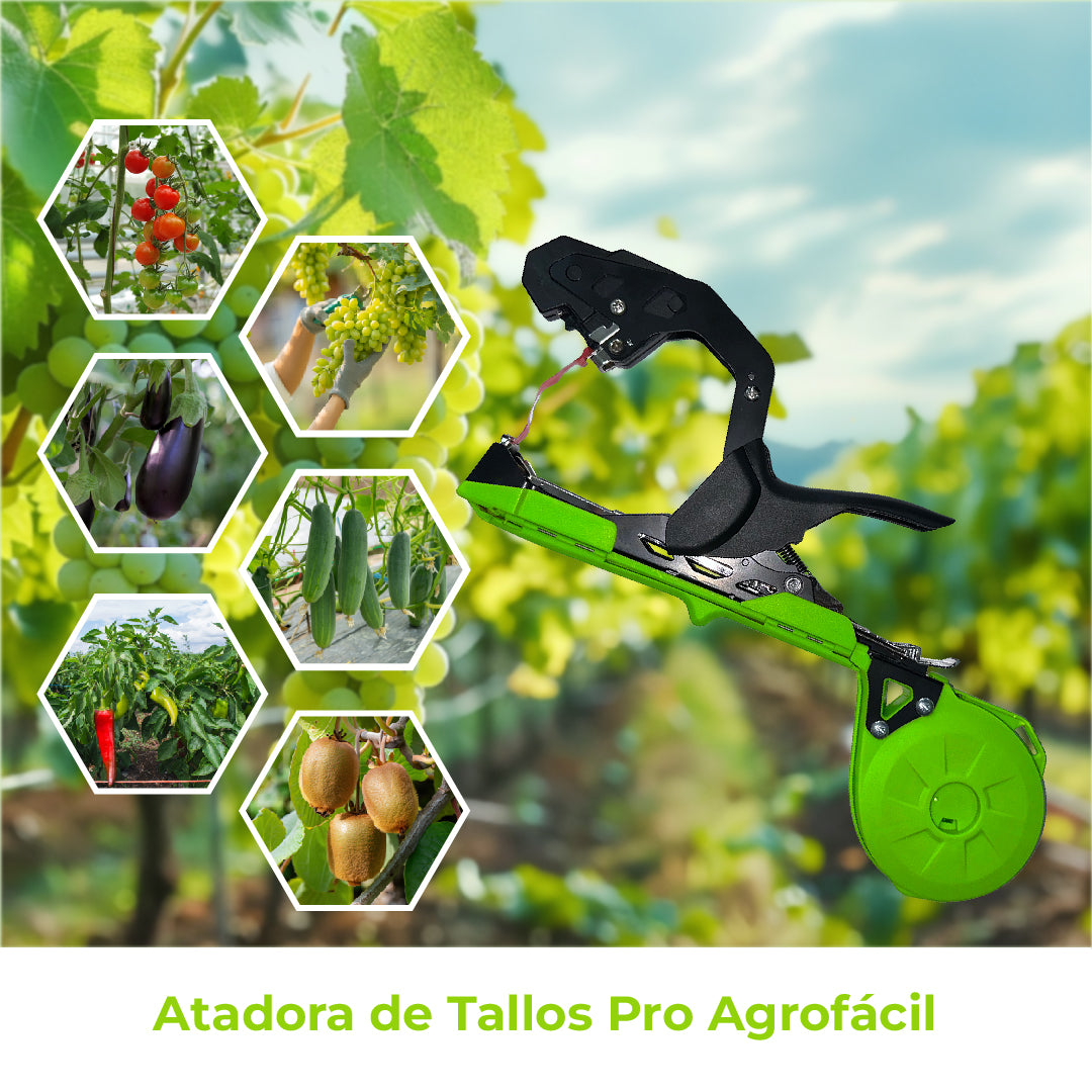 Atadora de Tallos Agrofácil